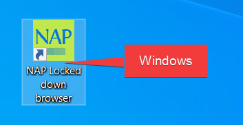 NAPLAN Windows Icon