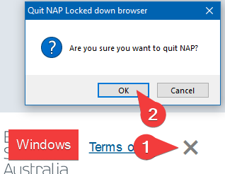 NAP LDB Windows Quit