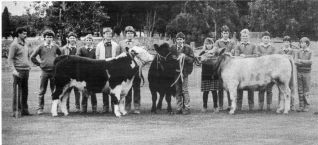 Cattle Club