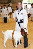 Cattle Club
