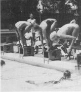 Swimming Carnival