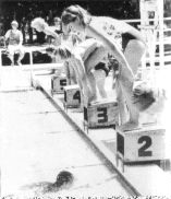 Swimming Carnival