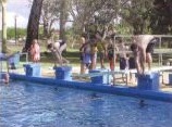 Swimming Carnival